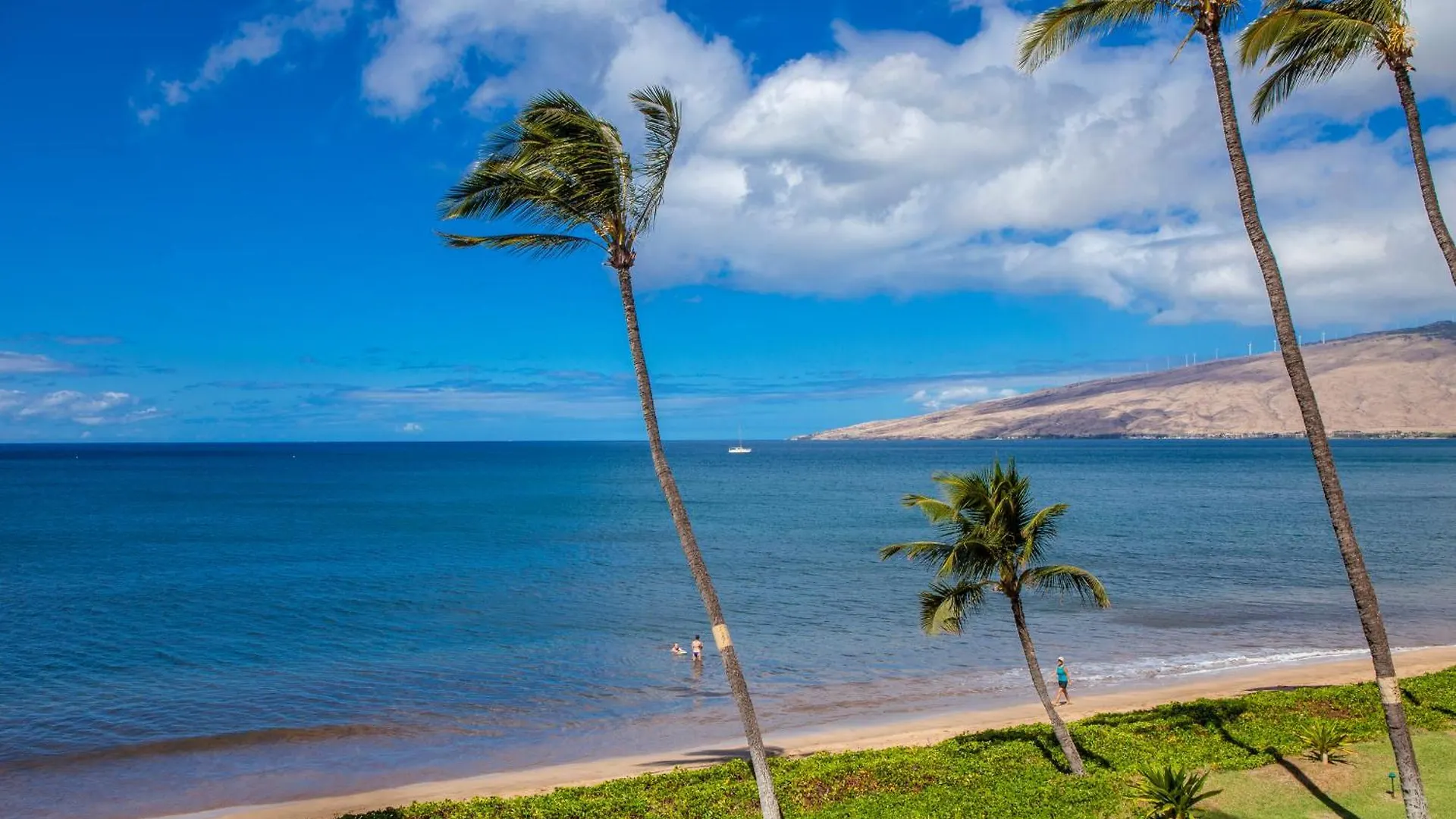 Sugar Beach 306 - Mch Kihei