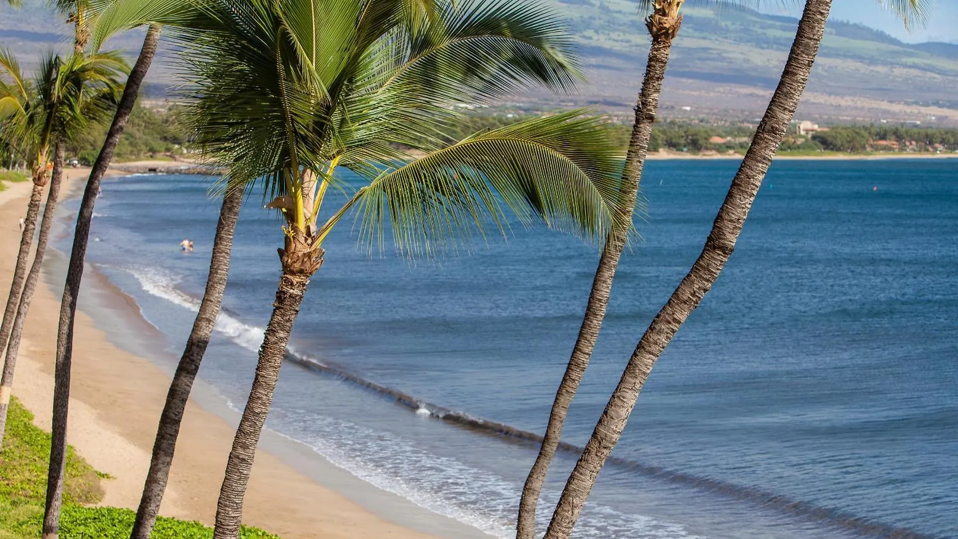 Sugar Beach 306 - Mch Kihei Holiday home